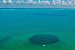 Голубая дыра Таам Джа в Мексике признана самой глубокой в мире