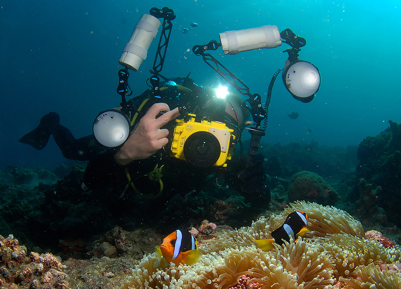 Подводные фотографы на Мальдивах