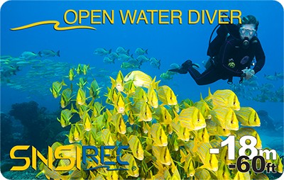 Курс обучения дайвингу SNSI Open Water Diver (OW)