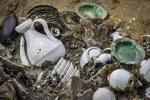 На затонувшем 1 000 лет назад корабле найдены 143 000 артефактов