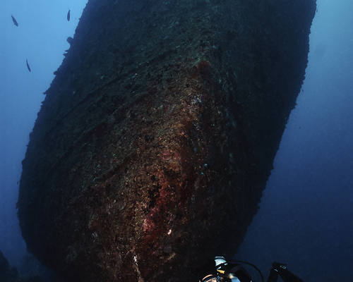 Малдивский wreck