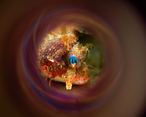 Глазок  в подводный мир