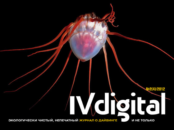 Вышел в свет свежий номер Цифрового журнала IV Digital № 2(4)2012