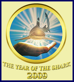 Международный год защиты акул. Зачем?