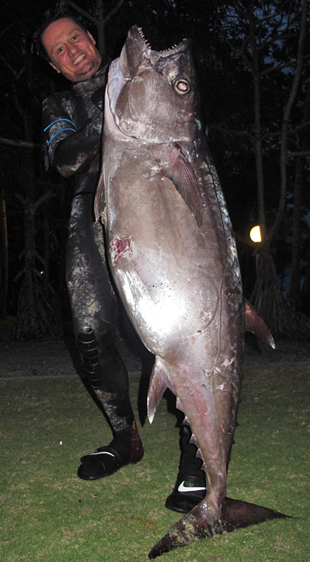 Собакозубый тунец – прирождённый убийца