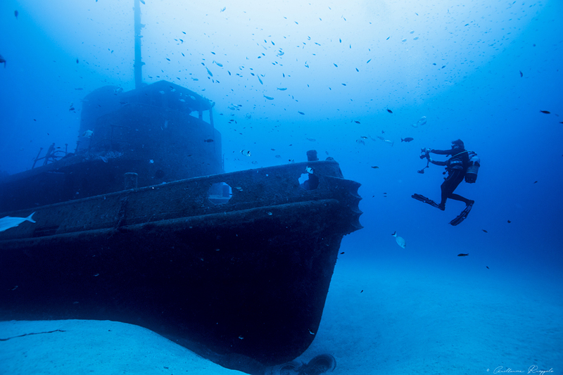 Подводная охота в Европе. Часть 1 – Мальта