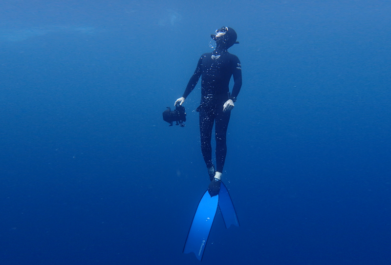 Подводная фотоохота – что это такое и как этим заняться