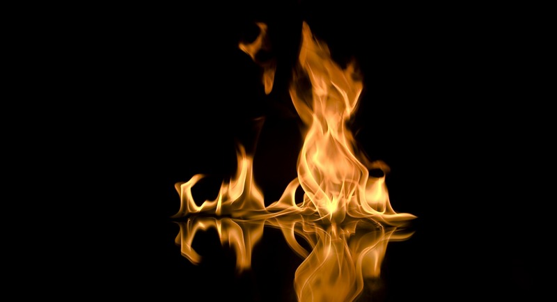Расследование пожара на сафарийнике в США – итоги и выводы