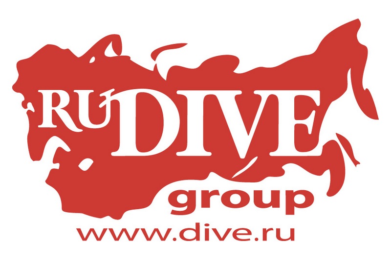 Логотип RuDIVE