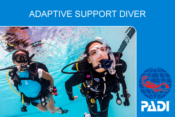 Курс обучения дайвингу PADI Adaptive Support Diver