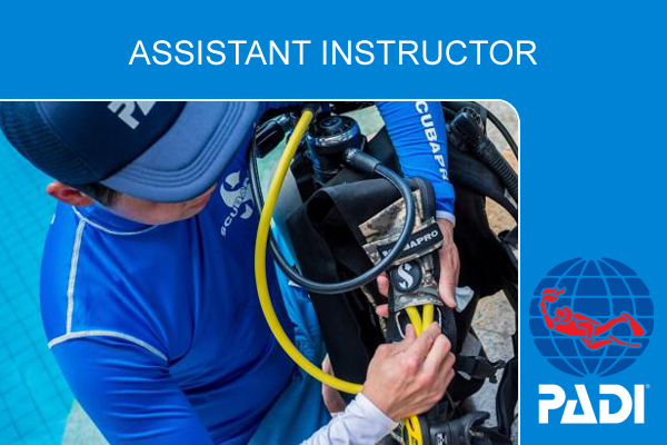 Assistant Instructor PADI