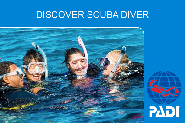 Ознакомительный курс дайвинга PADI Discover Scuba Diver