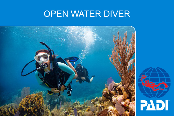 Курс обучения дайвингу PADI Open Water Diver