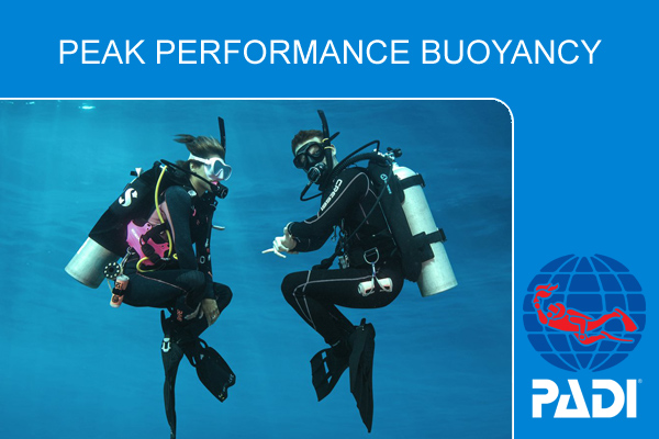 Курс обучения дайвингу PADI Peak Performance Buoyancy