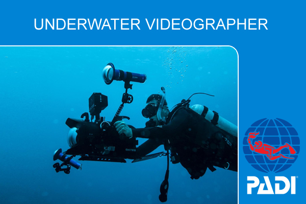 Курс обучения дайвингу PADI Underwater Videographer 