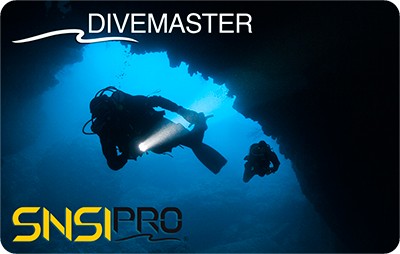Профессиональный курс обучения дайвингу SNSI Divemaster