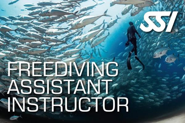 Профессиональный курс обучения фридайвингу SSI Freediving Assistant Instructor
