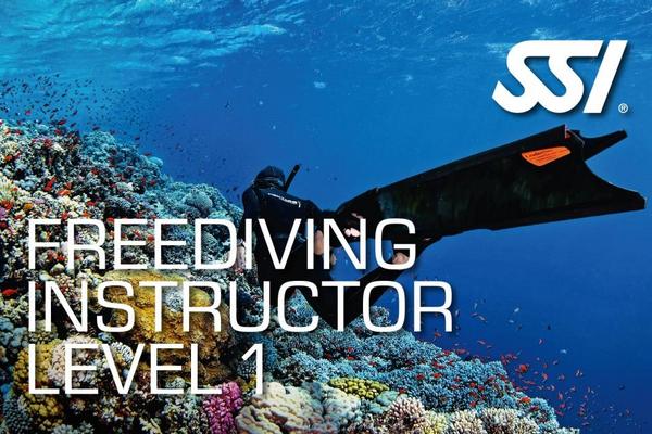 Профессиональный курс обучения фридайвингу SSI Freediving Instructor Level 1