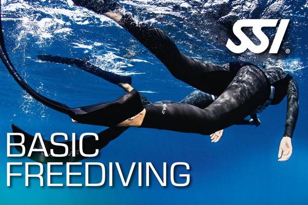 Начальный курс обучения фридайвингу SSI Basic Freediving