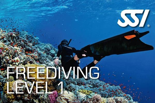 Начальный курс обучения фридайвингу SSI Freediving Level 1