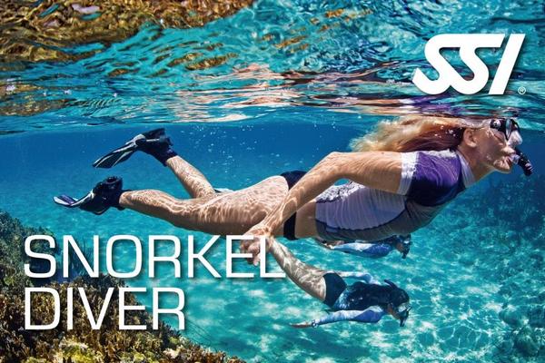 Начальный курс обучения фридайвингу SSI Snorkel Diver