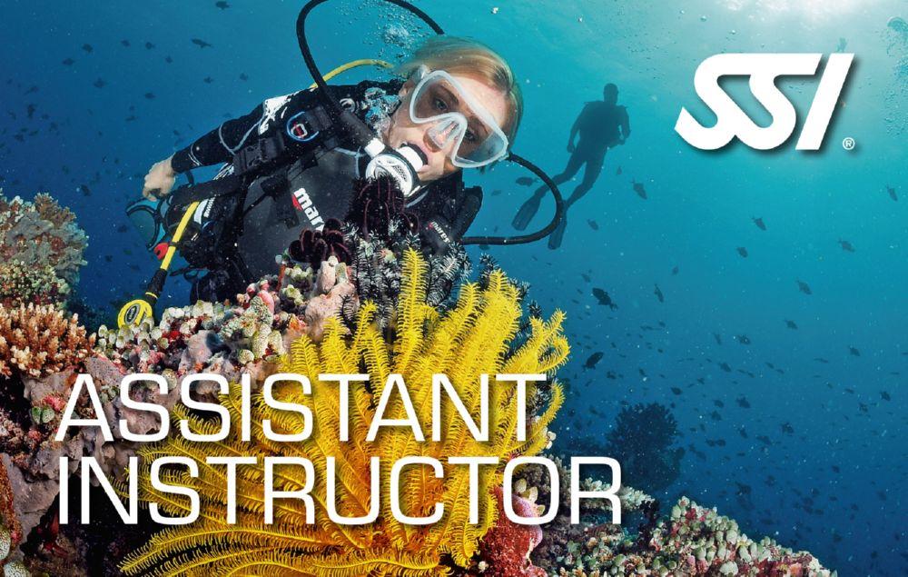 Assistant Instructor SSI