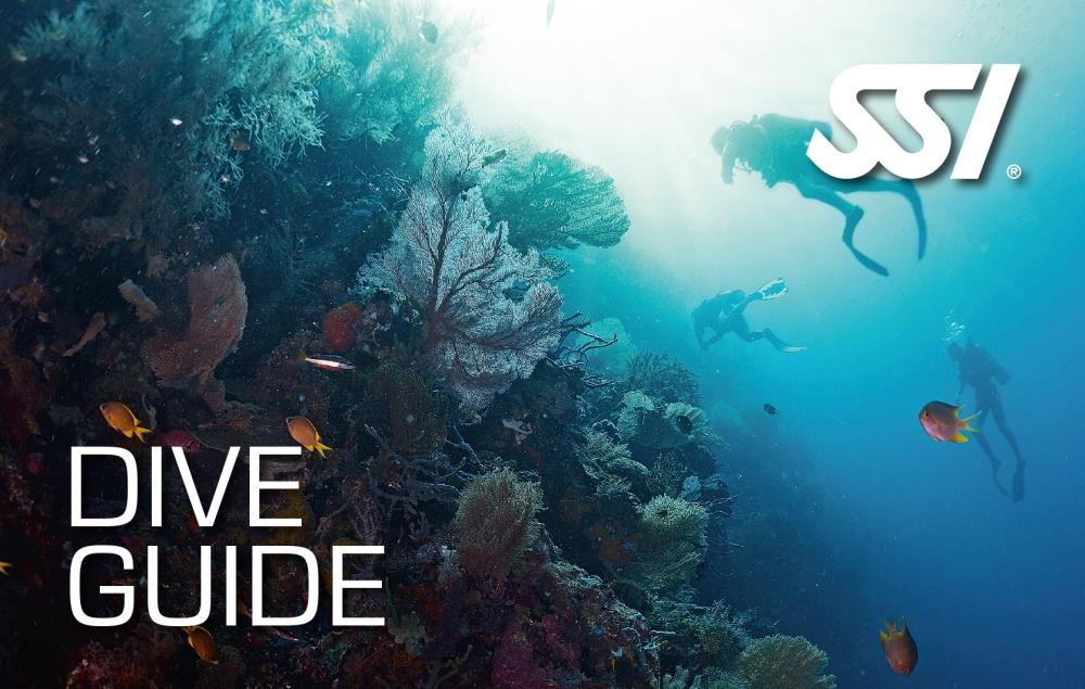 Профессиональный курс обучения дайвингу SSI Dive Guide