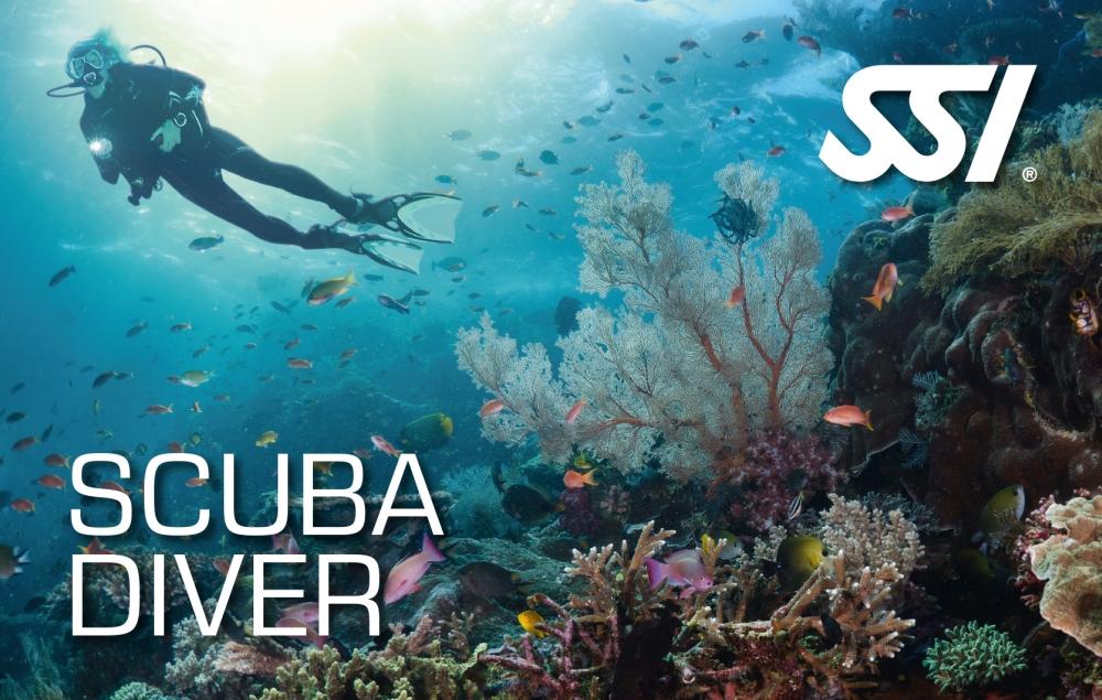 Курс обучения дайвингу SSI SCUBA Diver