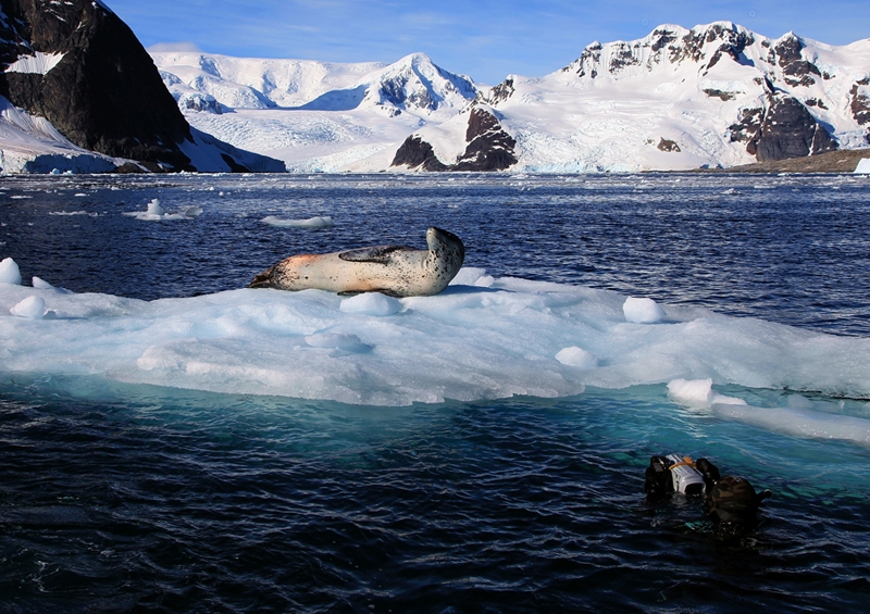Экспедиция «Антарктида-100» - полюс глубины