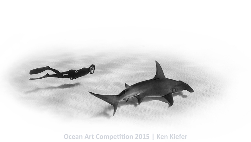 2015 Ocean Art Contest