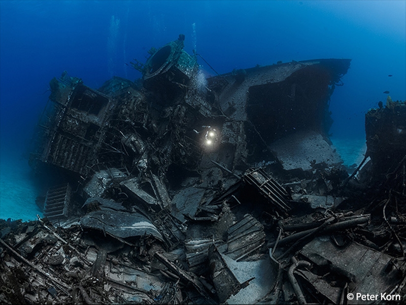 Digital Shootout – лучшие подводные фотографии 2016 года