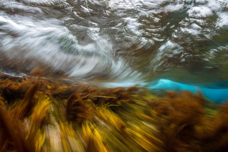 Лучшие работы фотоконкурса «Реки, моря и озера России 2016»
