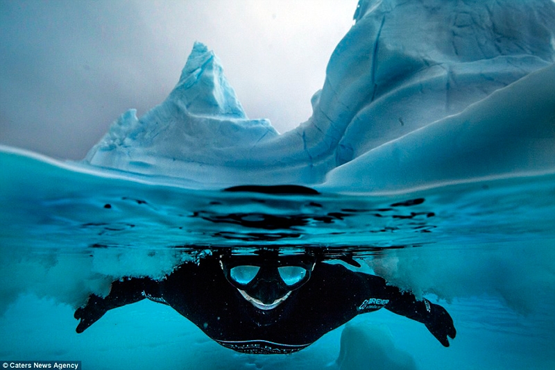 Фридайвер в антарктических морях