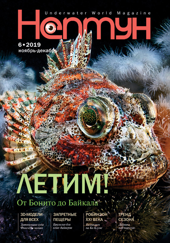 Анонс нового выпуска журнала "Нептун" 