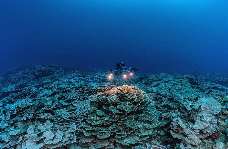 Глубоководный риф найден у берегов Таити