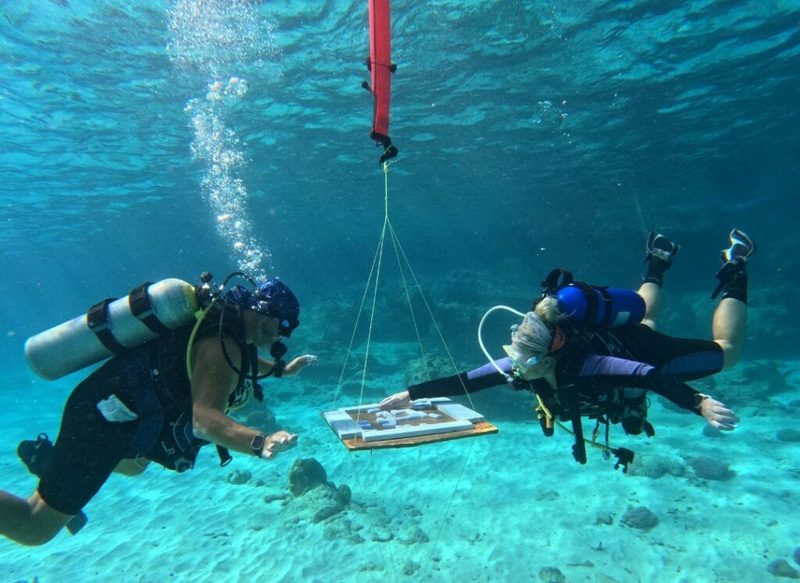 Новый рекорд Гиннеса по подводному домино установили дайверы на Кюрасао