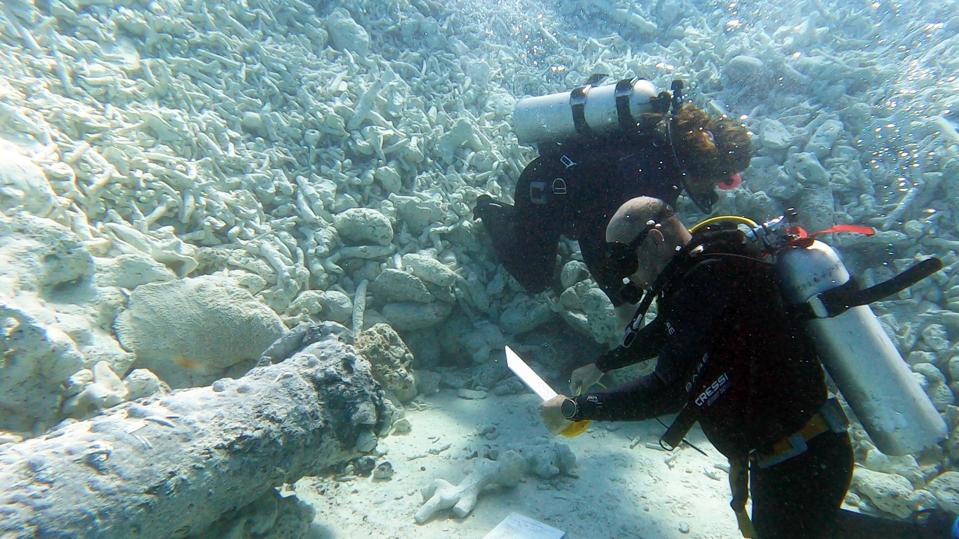 На Багамах под водой найдены старинные российские пушки