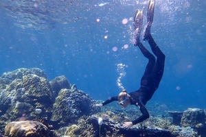 Ученые оценивают состояние рифа на слух