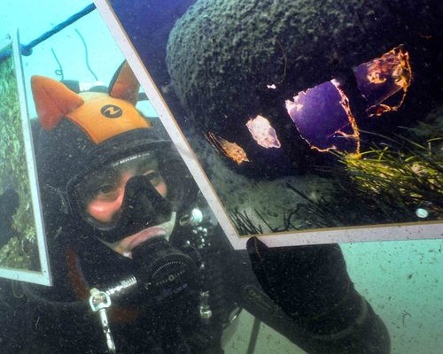 На открытии подводной выставкм