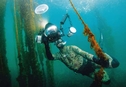 Анонс открытого чемпионата по подводной фотографии