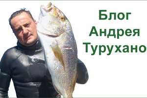 Читайте на портале блог Андрея Турухано о подводной охоте