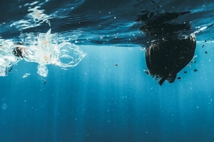Ученые смогли превратить морской мусор в сырье для фармацевтики