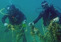 Дайверы-волонтеры убирают сети-призраки в Мраморном море