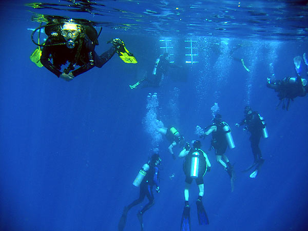 Жилет-компенсатор Aqua Lung - SeaQuest Diva LX, съемка под  водой