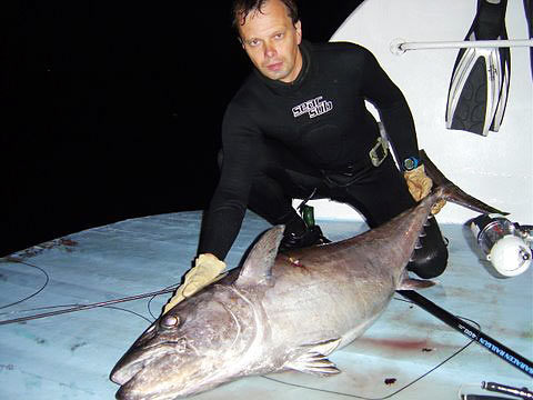 Подводная охота. Трофейная охота. Часть 2: особенности охоты на трофейную рыбу и безопасность подводного охотника.
