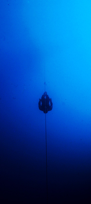 Глубина 100 метров впервые покорена на задержке дыхания без ласт