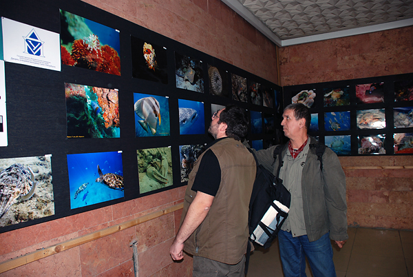 VI Международный фестиваль подводного кино «Аквафильм»