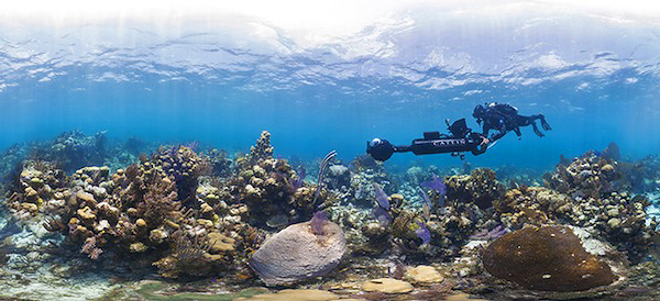 Подводные фотопанорамы в помощь ученым