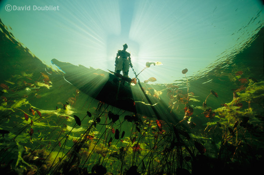Подводная фотография - фото Дэвида Дубиле