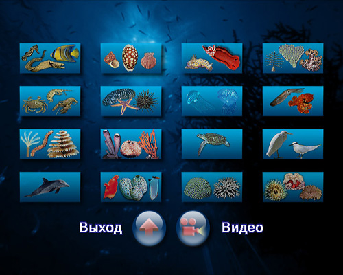 Новая интерактивная энциклопедия «Подводный мир – Красное море»